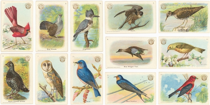 1900s-1930s Church & Dwight "Birds" Complete Sets Collection (7 Different)